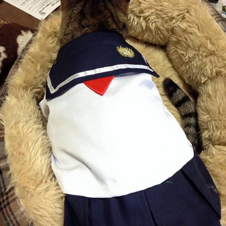 0fa0013a 0d35 429e b16c cd9724cad34b