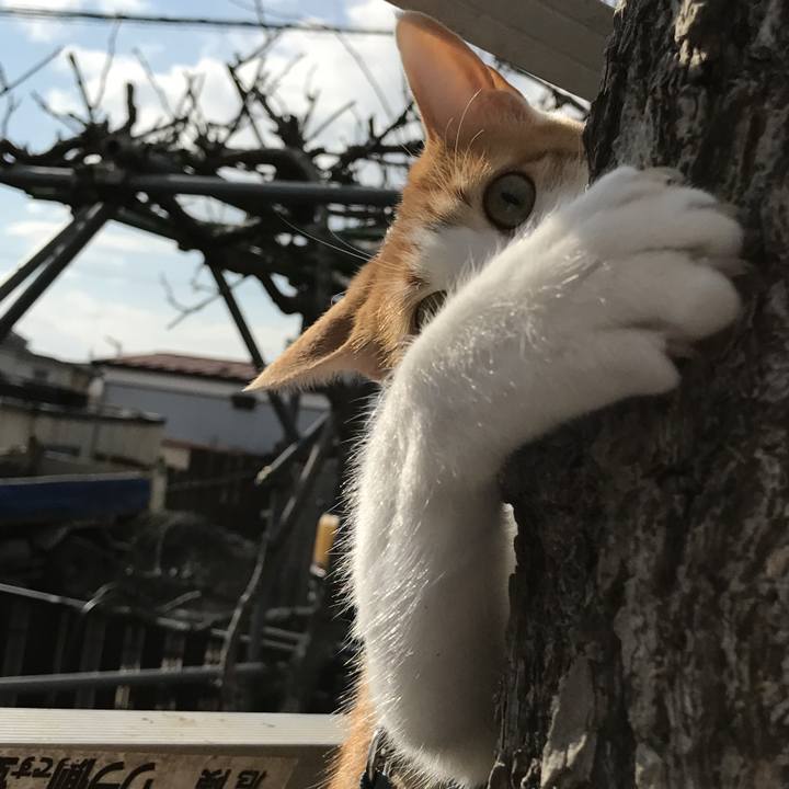 0fa108c7 9f05 42ed 893e d55d35742816