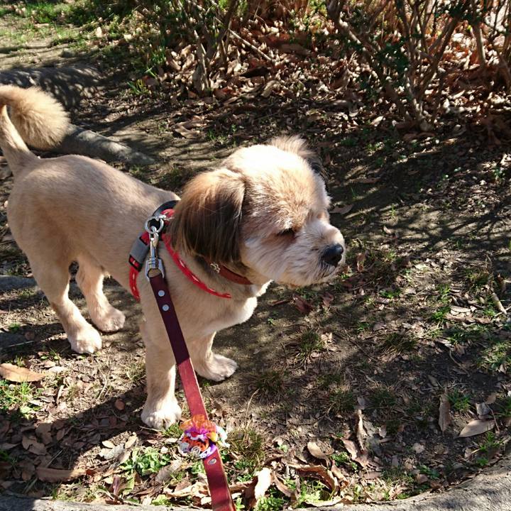 0fa1b398 17b9 4fb8 b659 203fc360045f