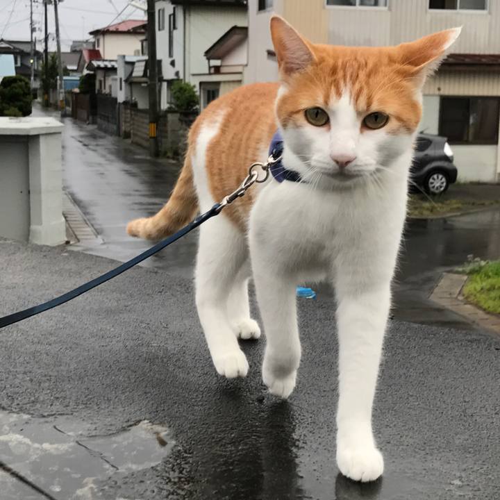 0fa2c9be 21cd 4037 83aa dd226d08e738