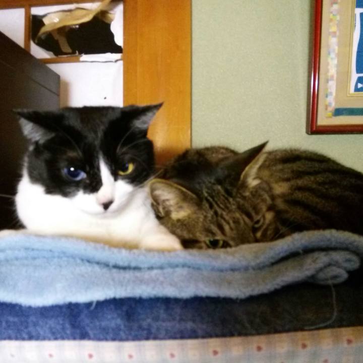 0fa3236b ad7a 41ef b780 102a5b324cc0