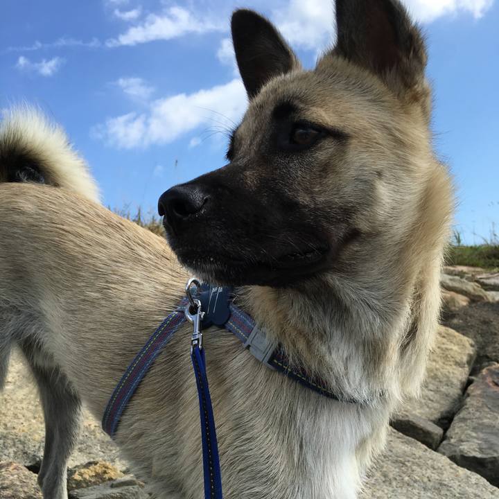 0fa37937 3770 4a8f 8a5b 38aeda38ec17