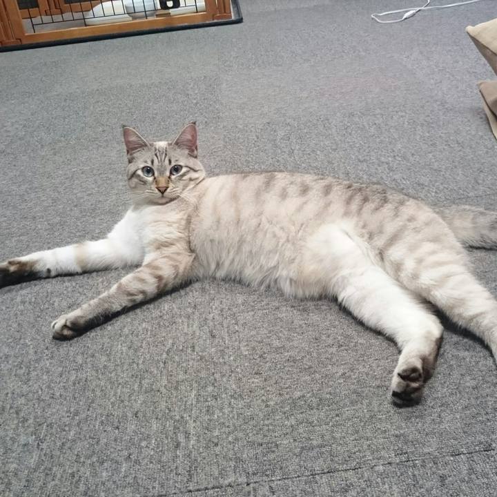 0fa3b3b1 a5bd 44c0 a297 4834702c8606