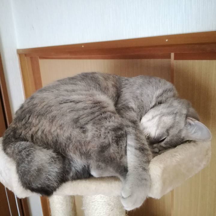 0fa3d8ae b18a 45e2 b9a0 91d948dd78a4