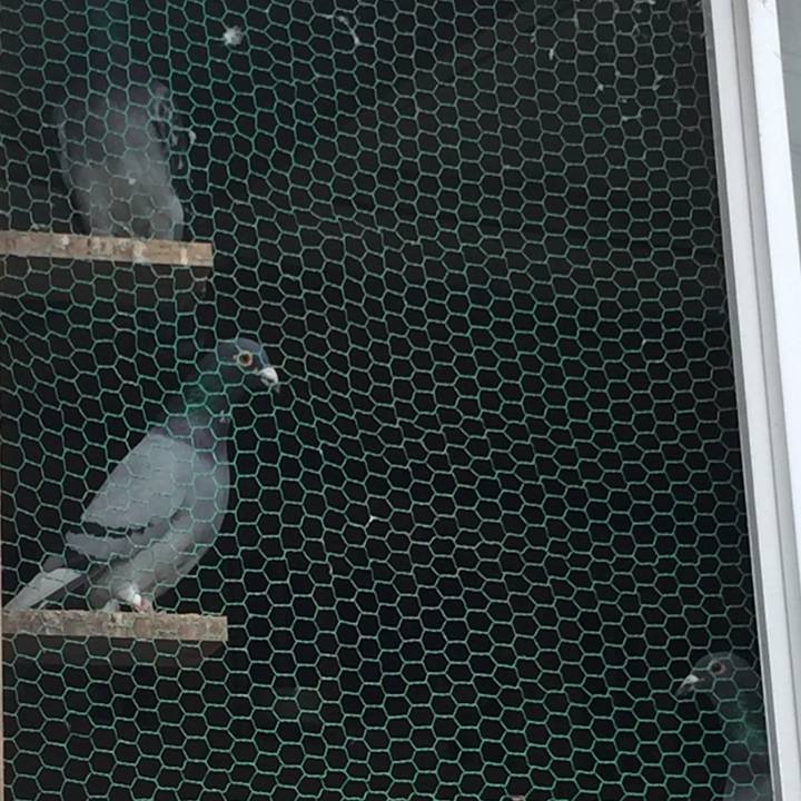 0fa3f9a7 44f1 478e 9d2e f32fda5ba8ff