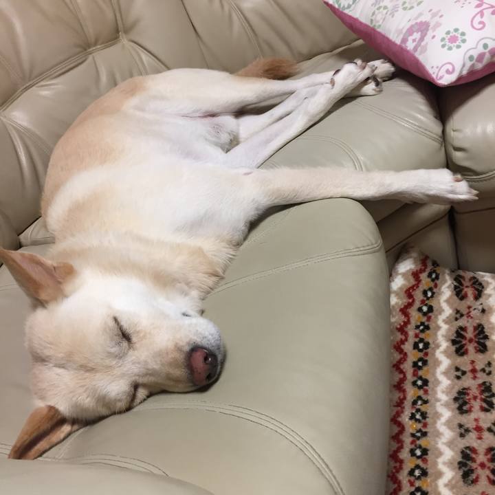 0fa48a0c 9aa2 43eb 9049 564693ac6e86