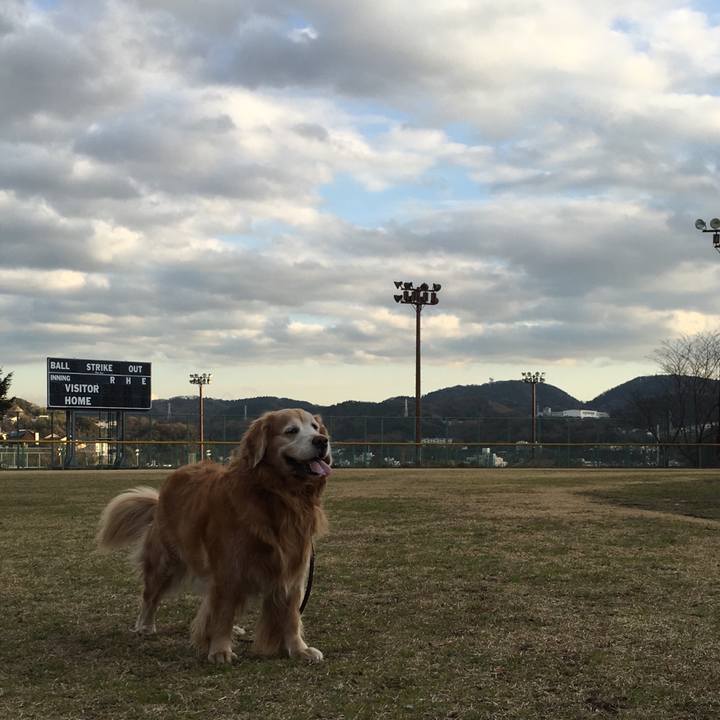 0fa4eb6d 65fa 413b 8d86 580ce074328b