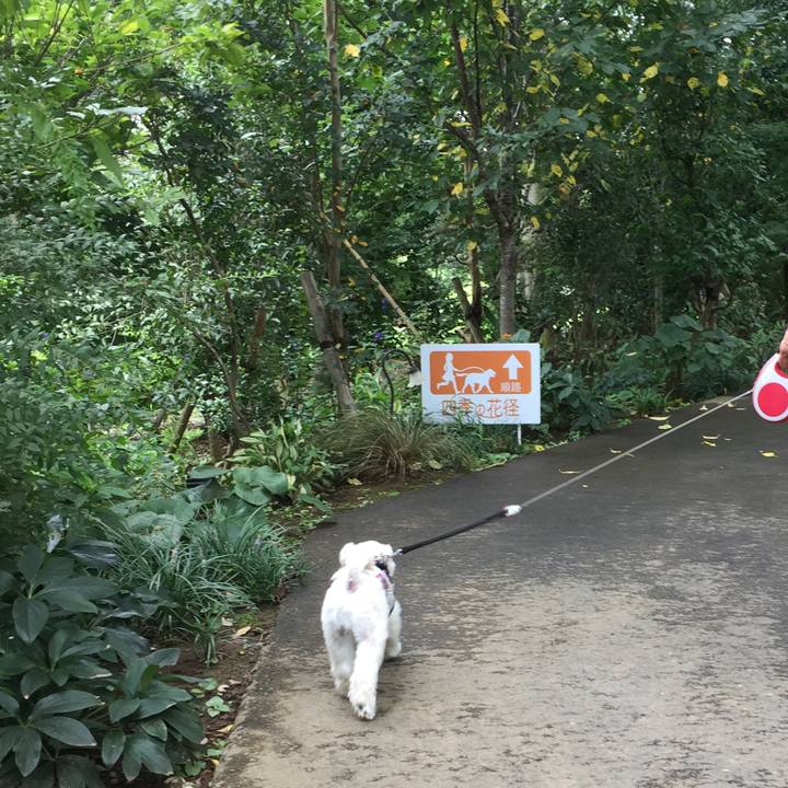 0fa52c86 bbd4 4a84 9223 a41171fec0f9