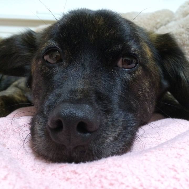 0fa681eb bacd 4df8 b424 c3f16b47f935