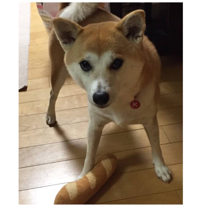 0fa71e2d ba46 4881 a2e1 7317195ead07