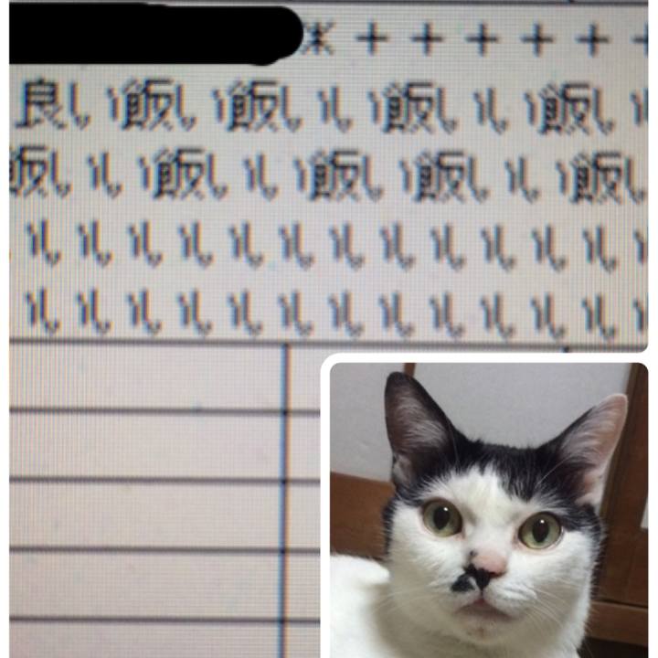 0fa7bbf8 5f65 42e7 b3d3 9caeca497db3