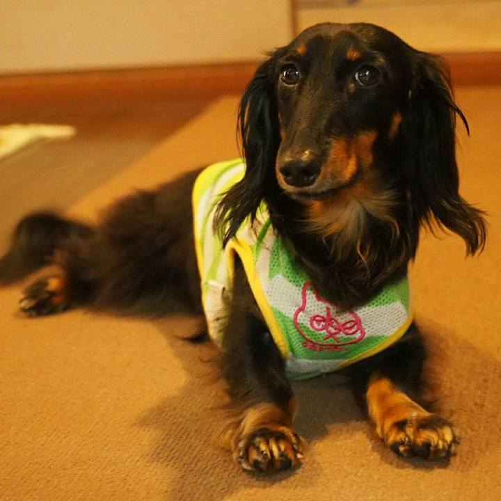 0fa88b62 5809 42b5 a642 f4f881d61360