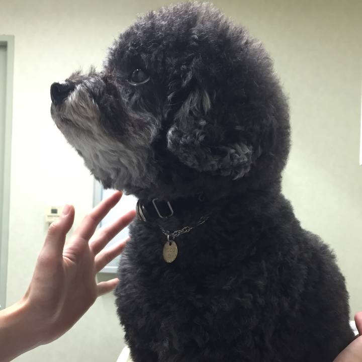 0fa8d8d1 f65f 4446 812f 491f0e684ed5