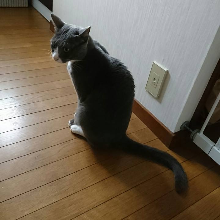 0fa92cd8 b66b 4e4c 8bc9 344295df464b