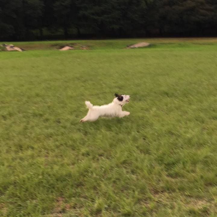 0fa96151 1a55 49c8 8239 17fc5b003a28