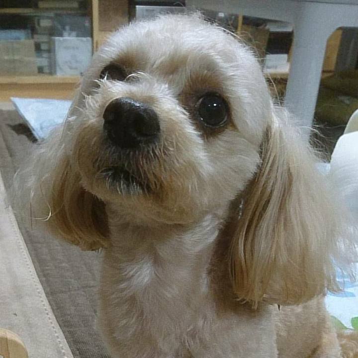 0fa9e891 10d0 43c8 80d9 81b351c44af0