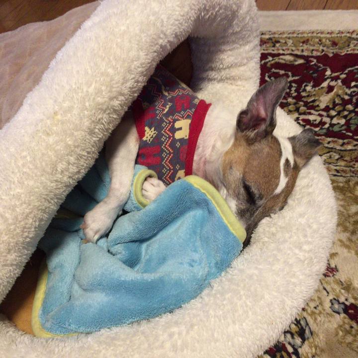 0faa6253 f3b1 4339 ba71 81083ab45106