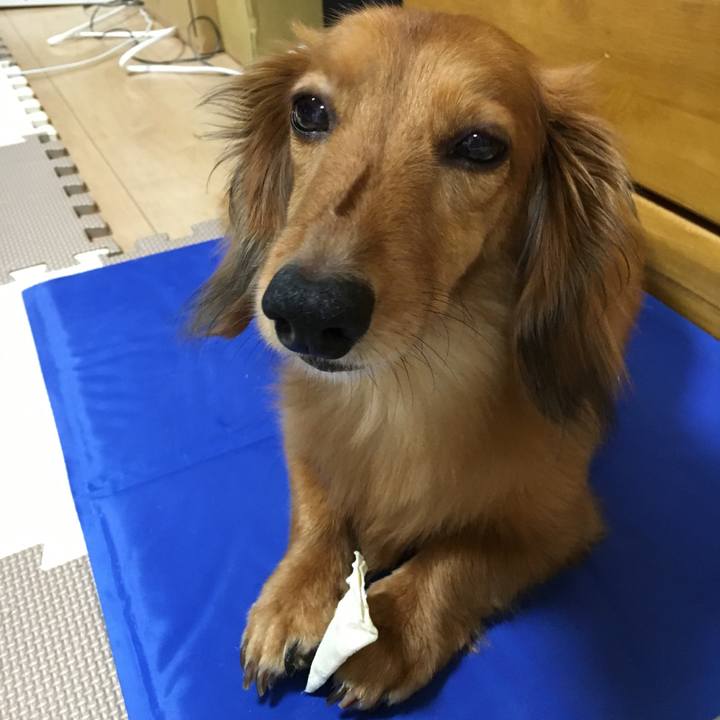 0faa645a ea9b 497e 8977 5474cc92e199