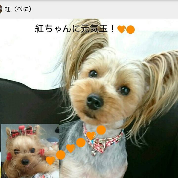 0faabec6 01c0 4190 8f1b d6c87aaab592