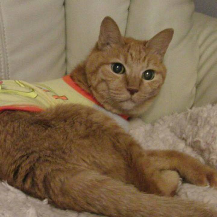 0fab039a b199 4d15 abea 5aaba0effd7e