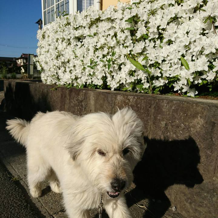 0fab4589 894b 4890 b943 e7637a3ed204