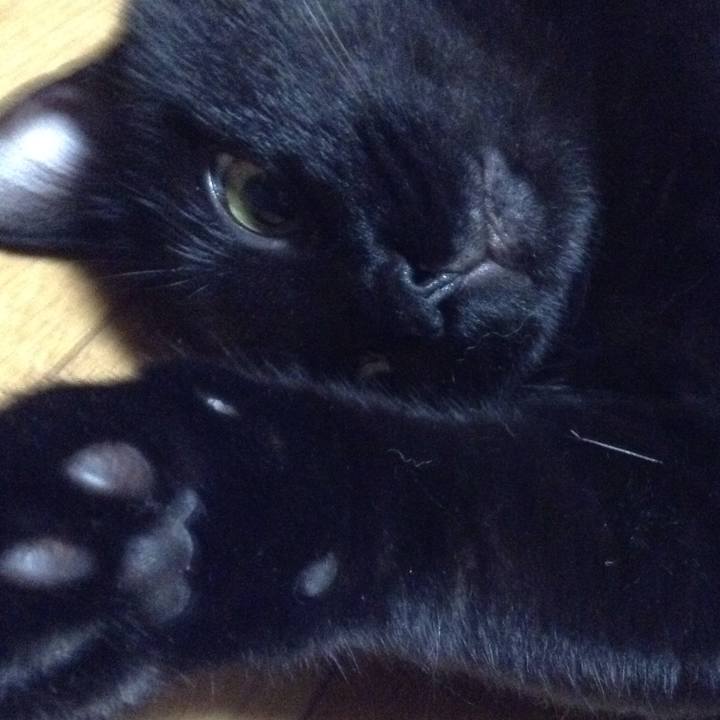 0faba749 f80e 4b32 9a0d da4584c2fd57