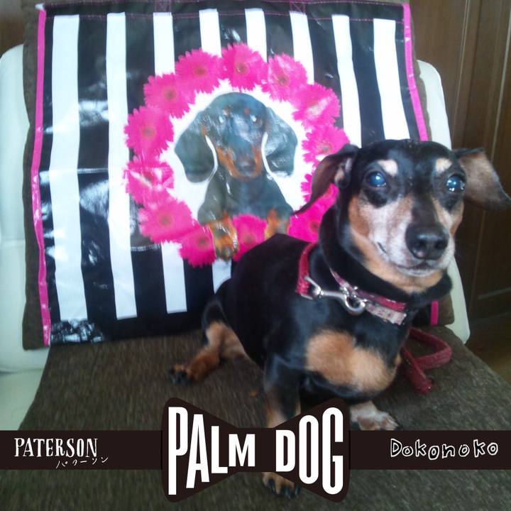 0fac22a1 b11f 4936 a8ad 94f0b69532e7