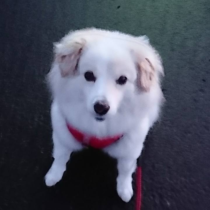 0fac4c57 0bd7 4789 a9c0 180f0ded7563