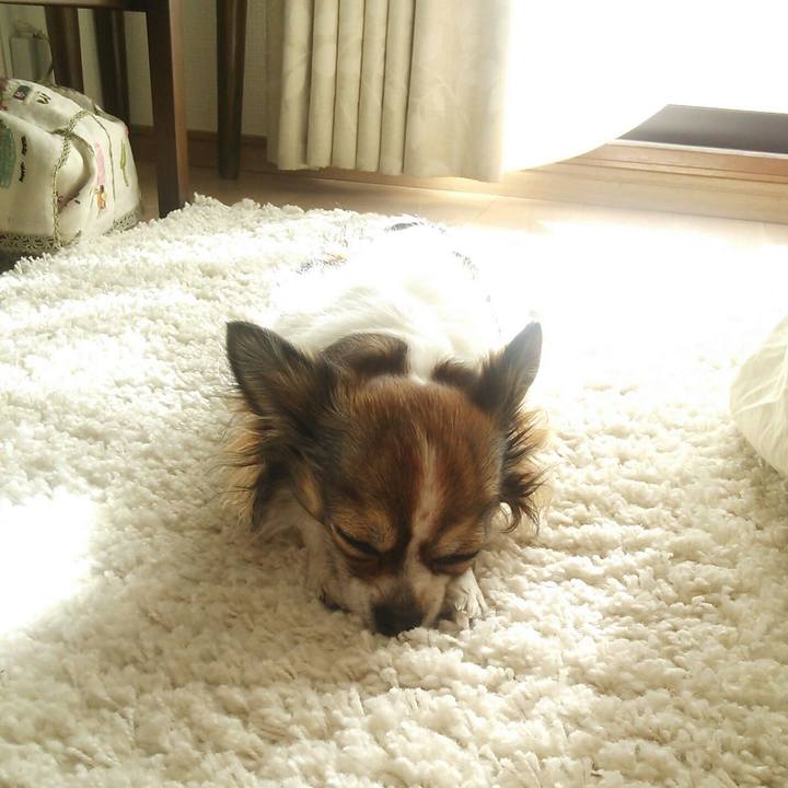 0fadcc18 a3a7 4585 9cba c7d38e006963