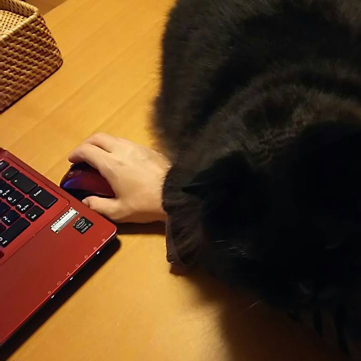 0faebae4 29b8 4667 b700 2decdcfb2abb