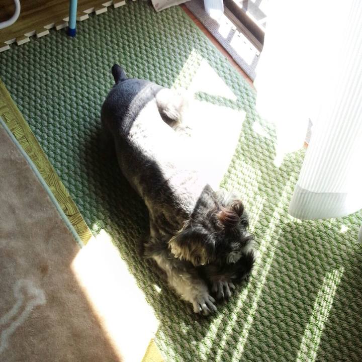 0faf986f 39da 4679 8e36 686b194da93c