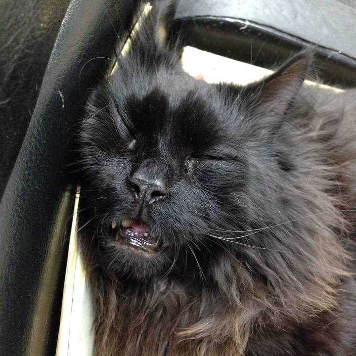 0fafbccc c010 485f 8b45 d6c556882d08