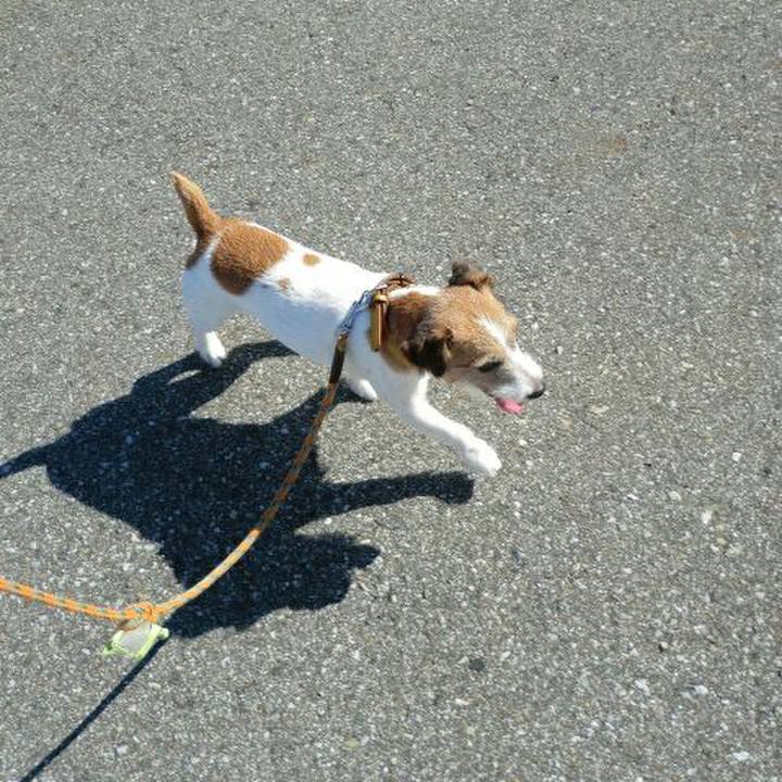 0fafd759 b594 49af 977a 92d88fa9c19e