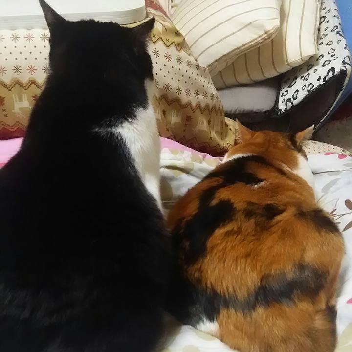 0fb022bf ce82 40ec a3d7 7527445b13e3