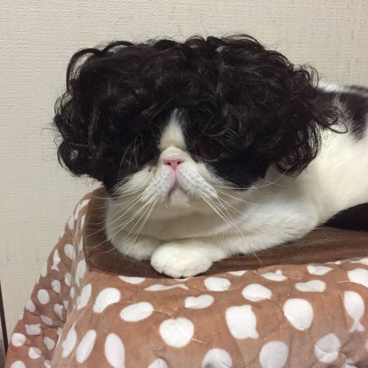 0fb08950 e1ab 457f 98a5 23cdd9a145f4