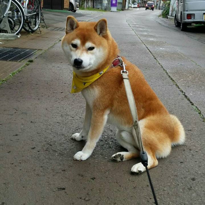 0fb09edf b08a 4ff9 adc7 06c8c7079dbf