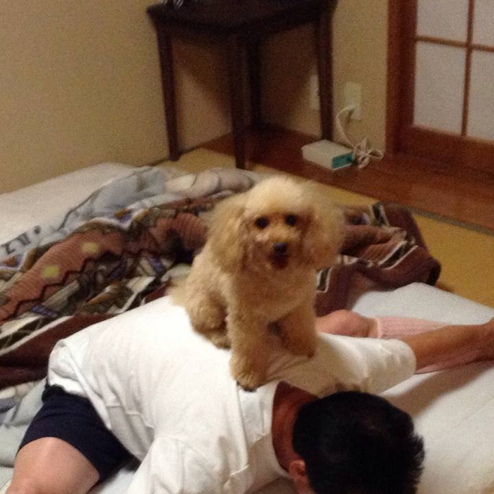 0fb13780 7a90 407a a98d b9b1b31308e4