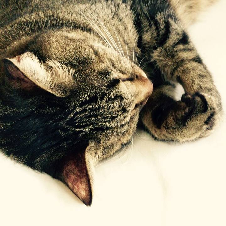 0fb16f2a 0530 42a2 a418 c219be772e75