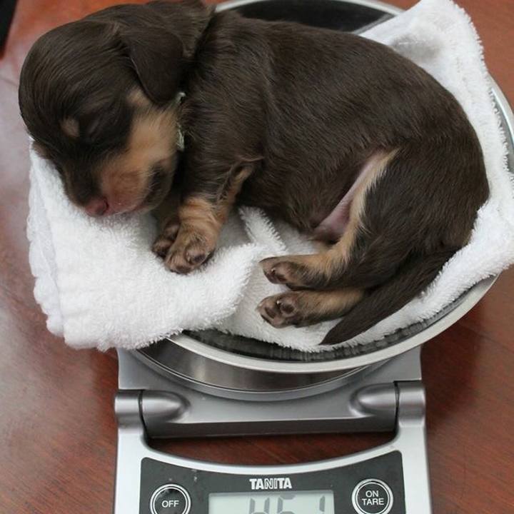 0fb22f95 0d45 403b b3e1 0ff07279289c