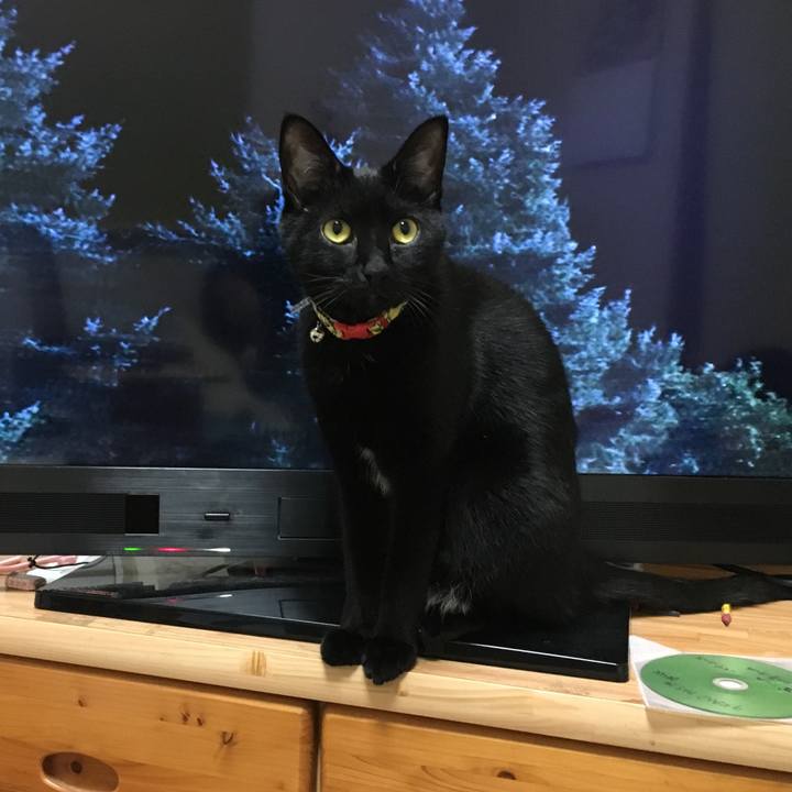 0fb26fb6 6454 4005 9d62 b277811bff37