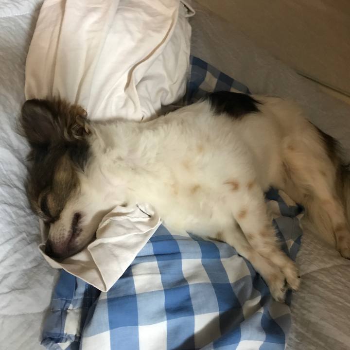 0fb2a115 9d63 49a2 aa4e 6bf26fa876dd