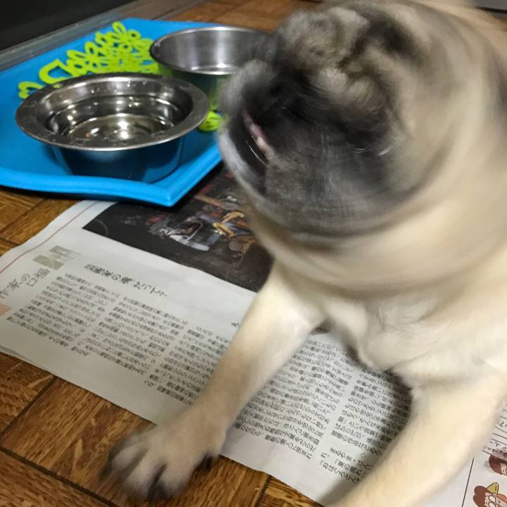 0fb2b26d 5c19 4688 a2a6 c2d21f7b8e79