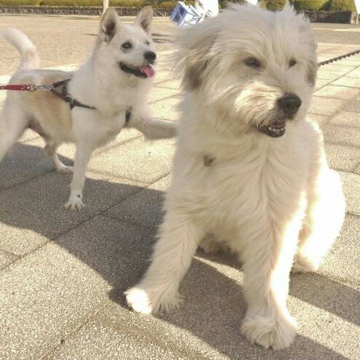 0fb2f7f2 3971 4eb0 b5ca f59d7969970a