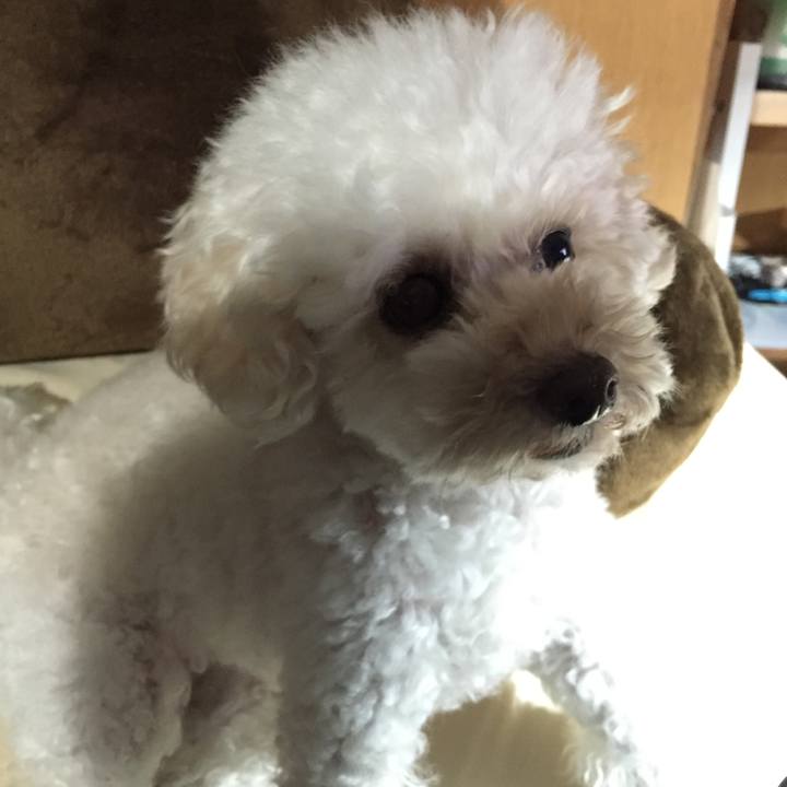 0fb32c88 4af3 4d1b 9b7e ff9c931d5035