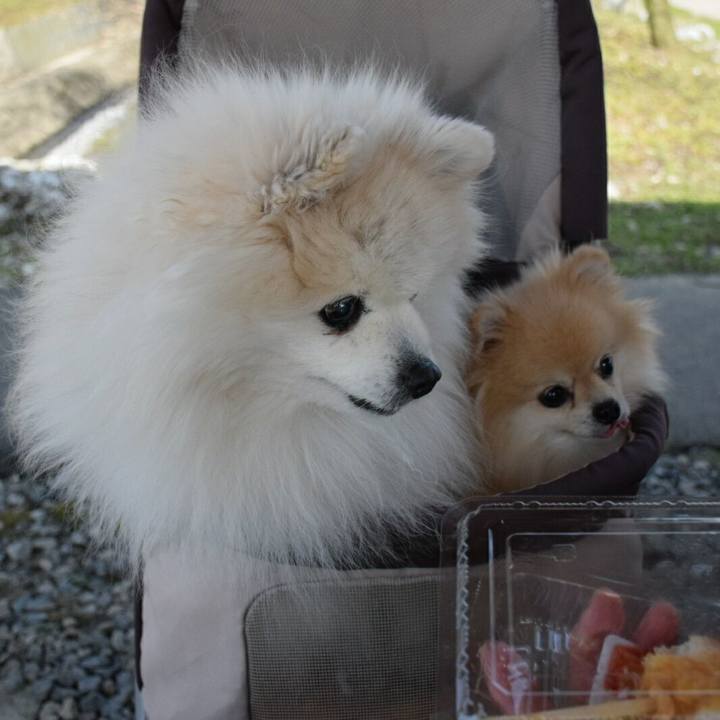 0fb35922 71dc 454e 93d2 9cb3a14c3f97