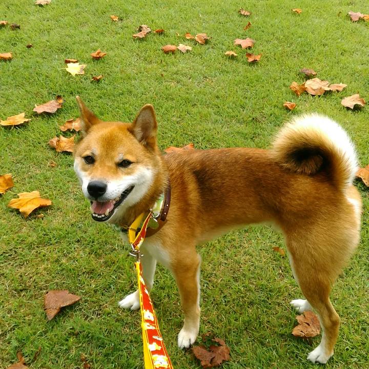 0fb3ca1e 2c05 4d2c 8c39 bdb27a09bf8c