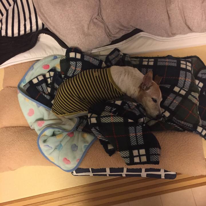 0fb4076e 7c5e 4e69 bd6f 0784ce6899bc