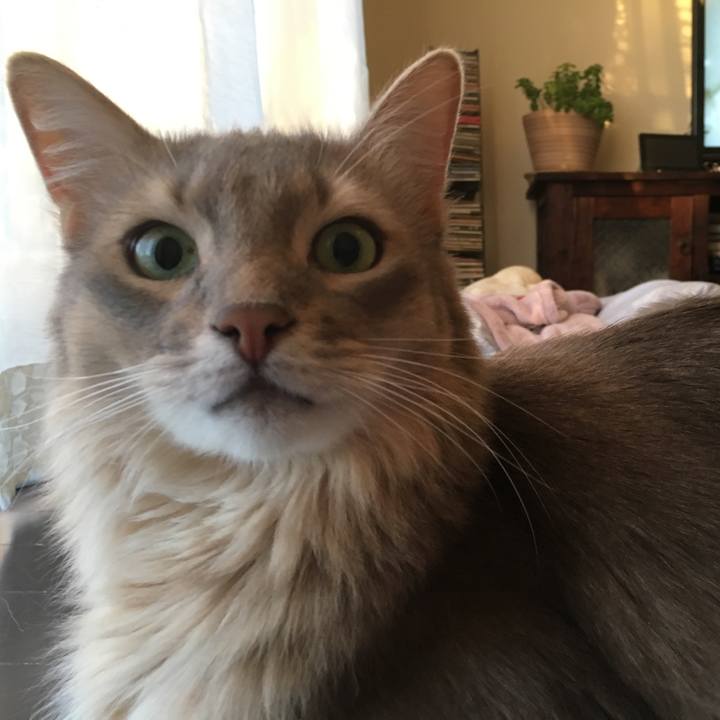 0fb47b01 02f9 4589 ac01 8fbf671670f3