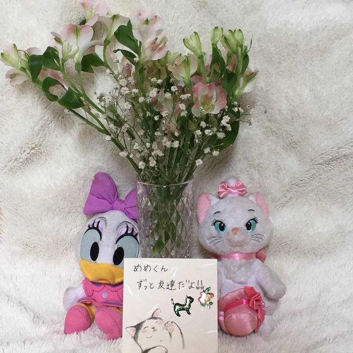 0fb4f5a2 bcbb 4847 aa21 0189f9490262