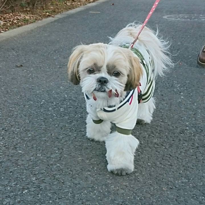 0fb5311a 2abd 4f77 aa59 ab6f74d1766e